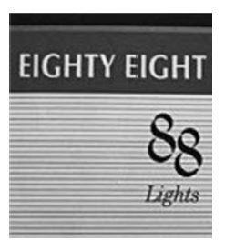 EIGHTY EIGHT 88 Lights with Device