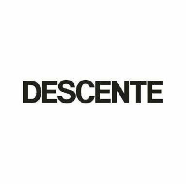 DESCENTE (Stylized)