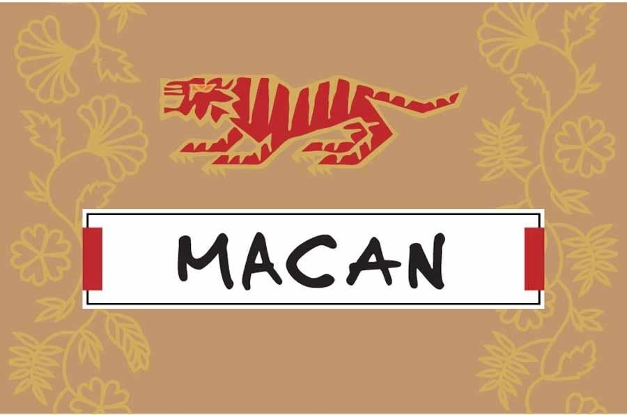 MACAN figurative