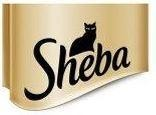SHEBA with Cat Device
