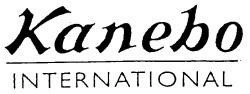KANEBO/ INTERNATIONAL (Stylized)