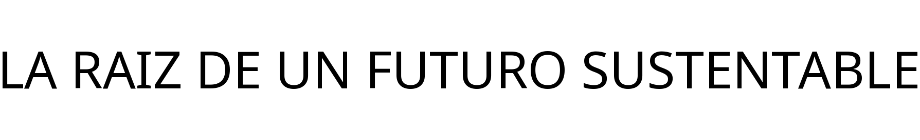 LA RAIZ DE UN FUTURO SUSTENTABLE