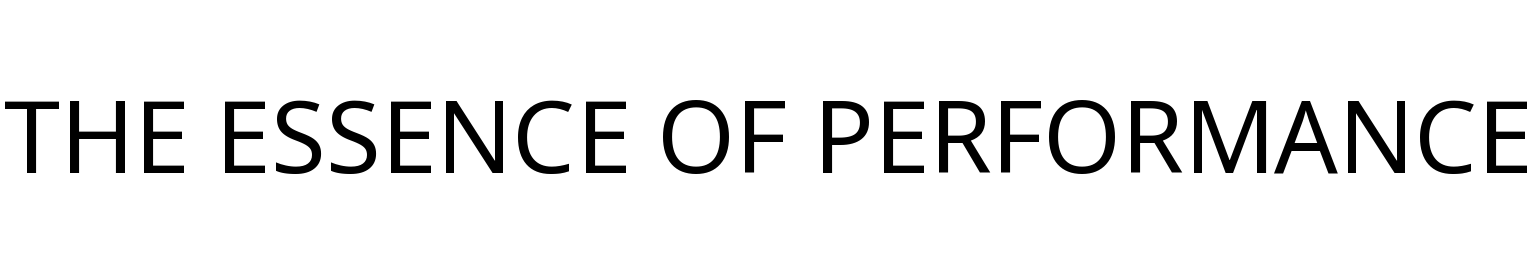 THE ESSENCE OF PERFORMANCE