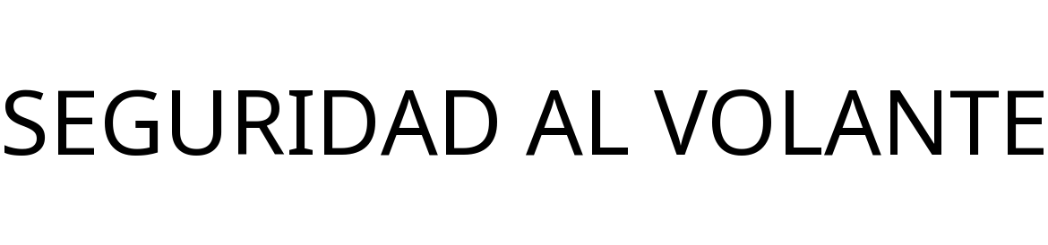 SEGURIDAD AL VOLANTE