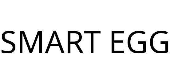 SMART EGG