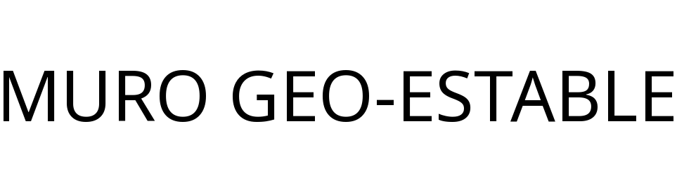 MURO GEO-ESTABLE