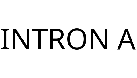 INTRON A