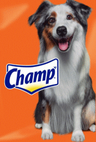 CHAMP