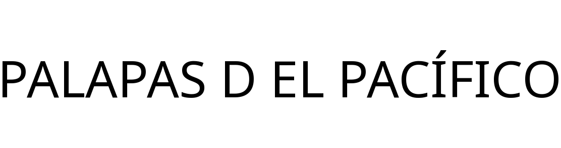PALAPAS D EL PACÍFICO