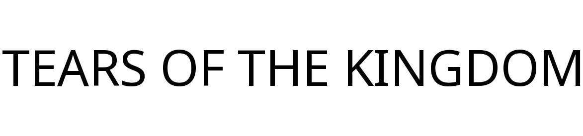 TEARS OF THE KINGDOM