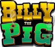BILLY THE PIG