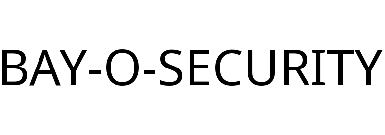 BAY-O-SECURITY