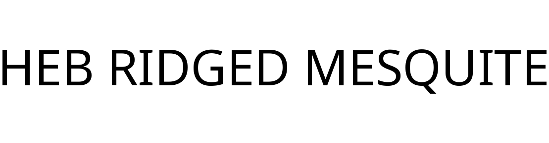 HEB RIDGED MESQUITE