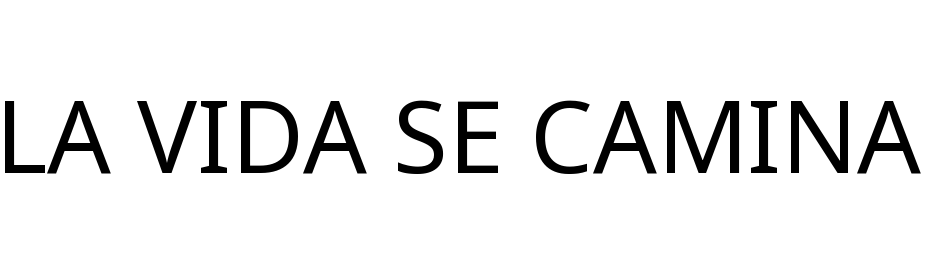 LA VIDA SE CAMINA