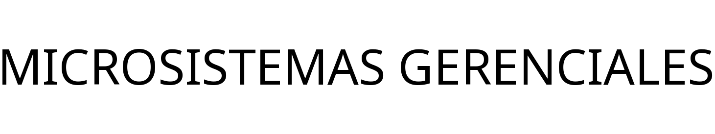 MICROSISTEMAS GERENCIALES