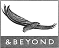 &BEYOND