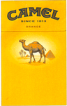 CAMEL ORANGE