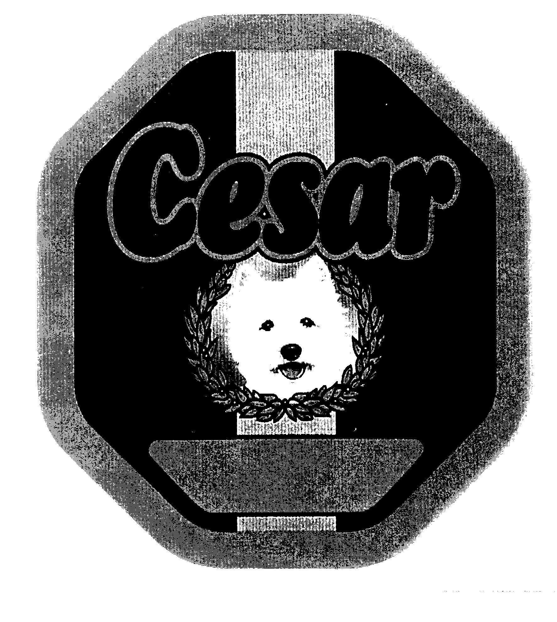 Cesar