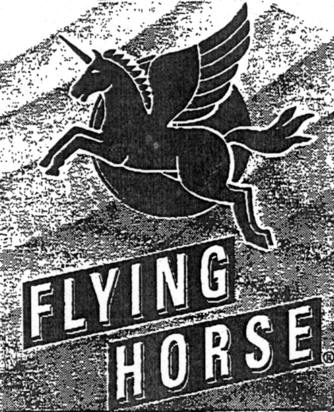 FLYING HORSE