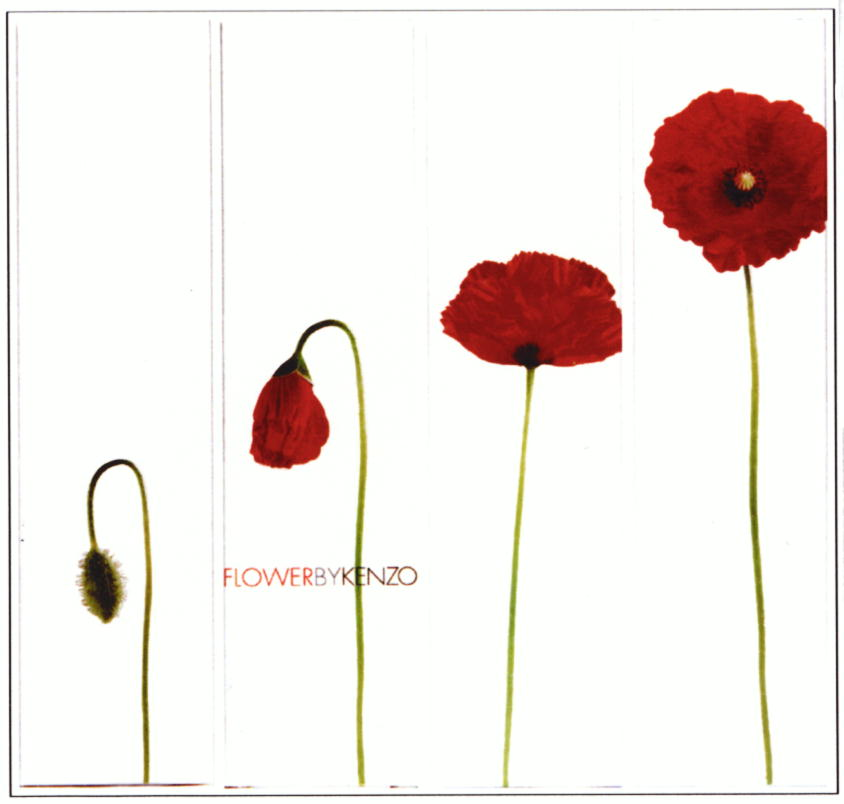 FLOWERBYKENZO
