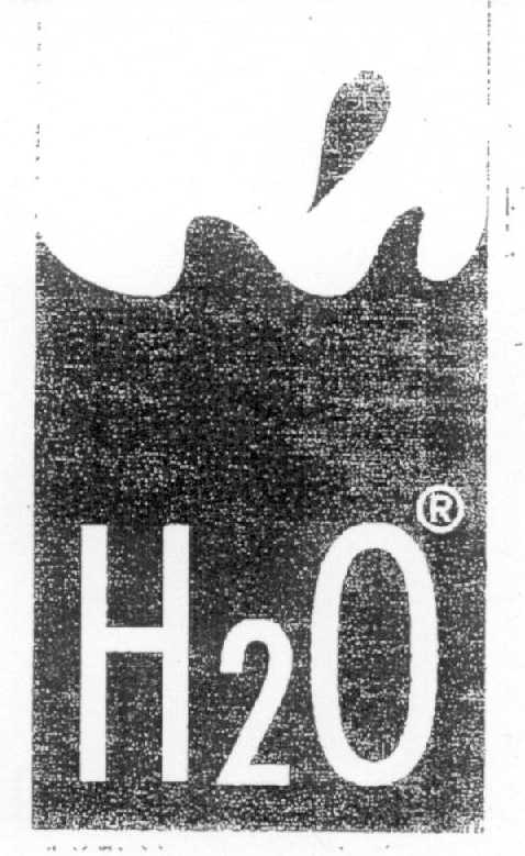 H2O