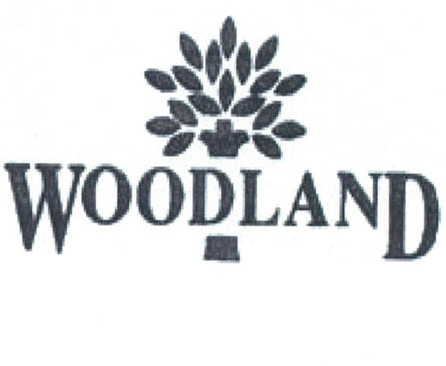 WOODLAND
