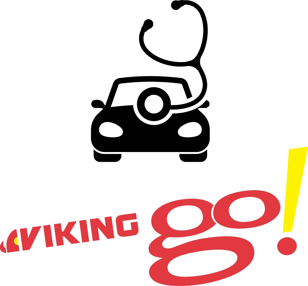 viking go!
