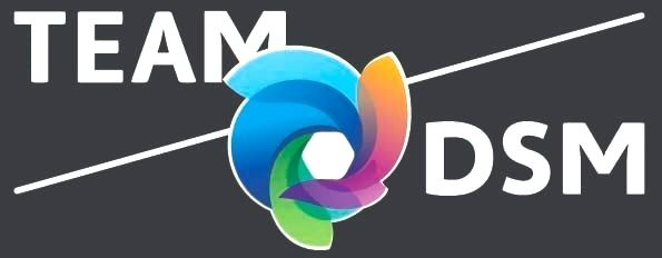 TEAM DSM