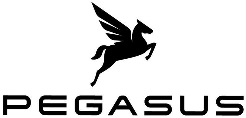 PEGASUS