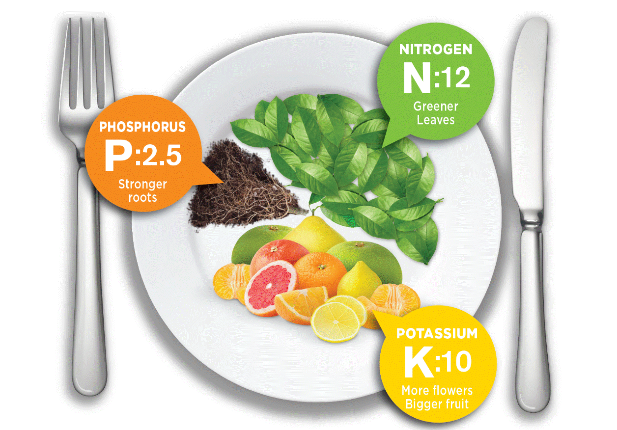 NITROGEN N:12 Greener Leaves PHOSPHORUS P:2.5 Stronger roots POTASSIUM K:10 More flowers Bigger fruit
