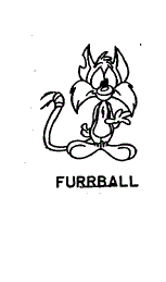 FURRBALL