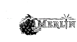 MERLIN