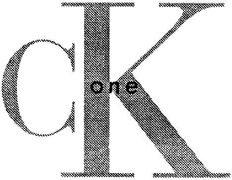 CK ONE