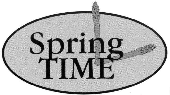 Spring TIME