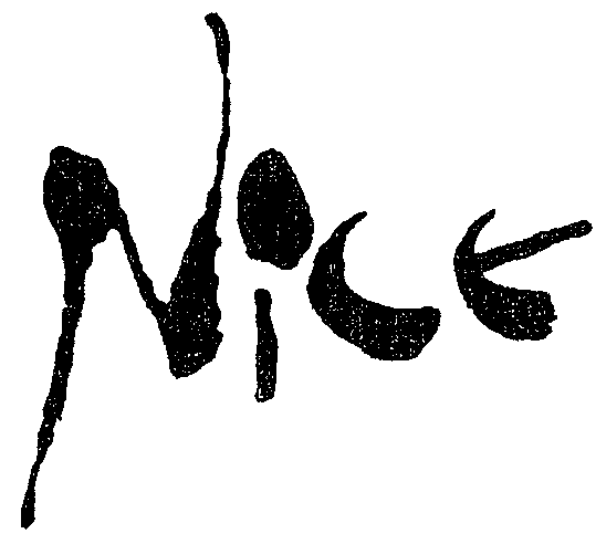 NicE