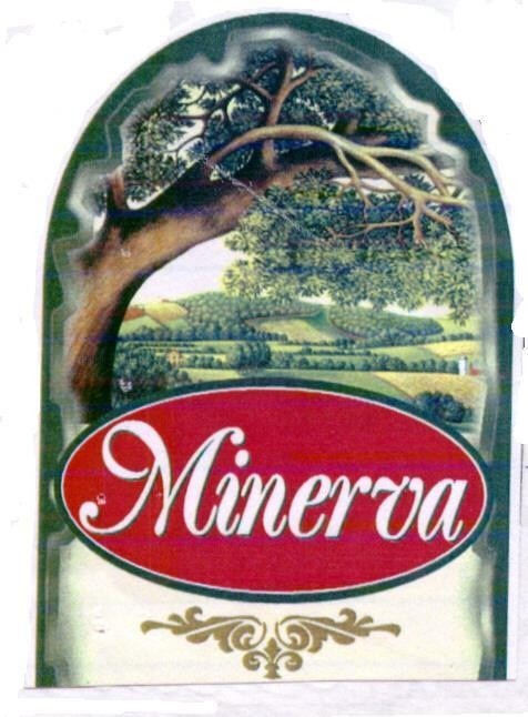 MINERVA