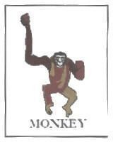 MONKEY