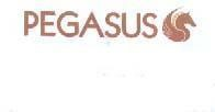 PEGASUS