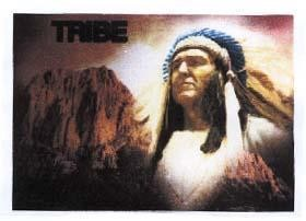 TRIBE