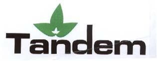 TANDEM