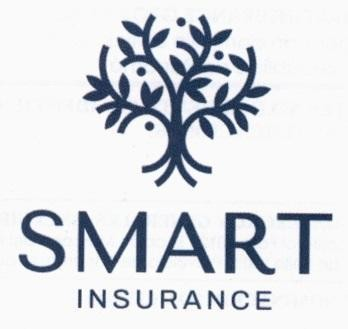 SMART INSURANCE
