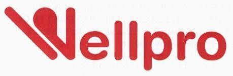 WELLPRO