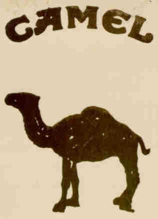 CAMEL