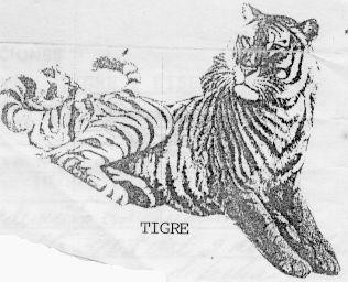 TIGRE