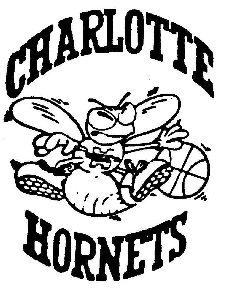 CHARLOTTE HORNETS