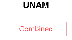 UNAM