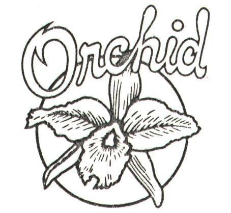 Orchid