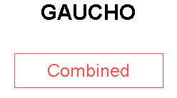 GAUCHO