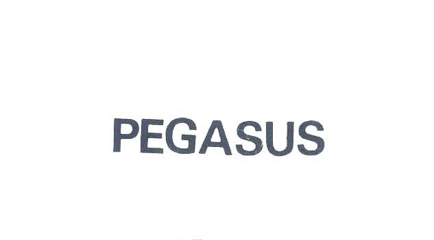 PEGASUS