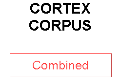 CORTEX CORPUS